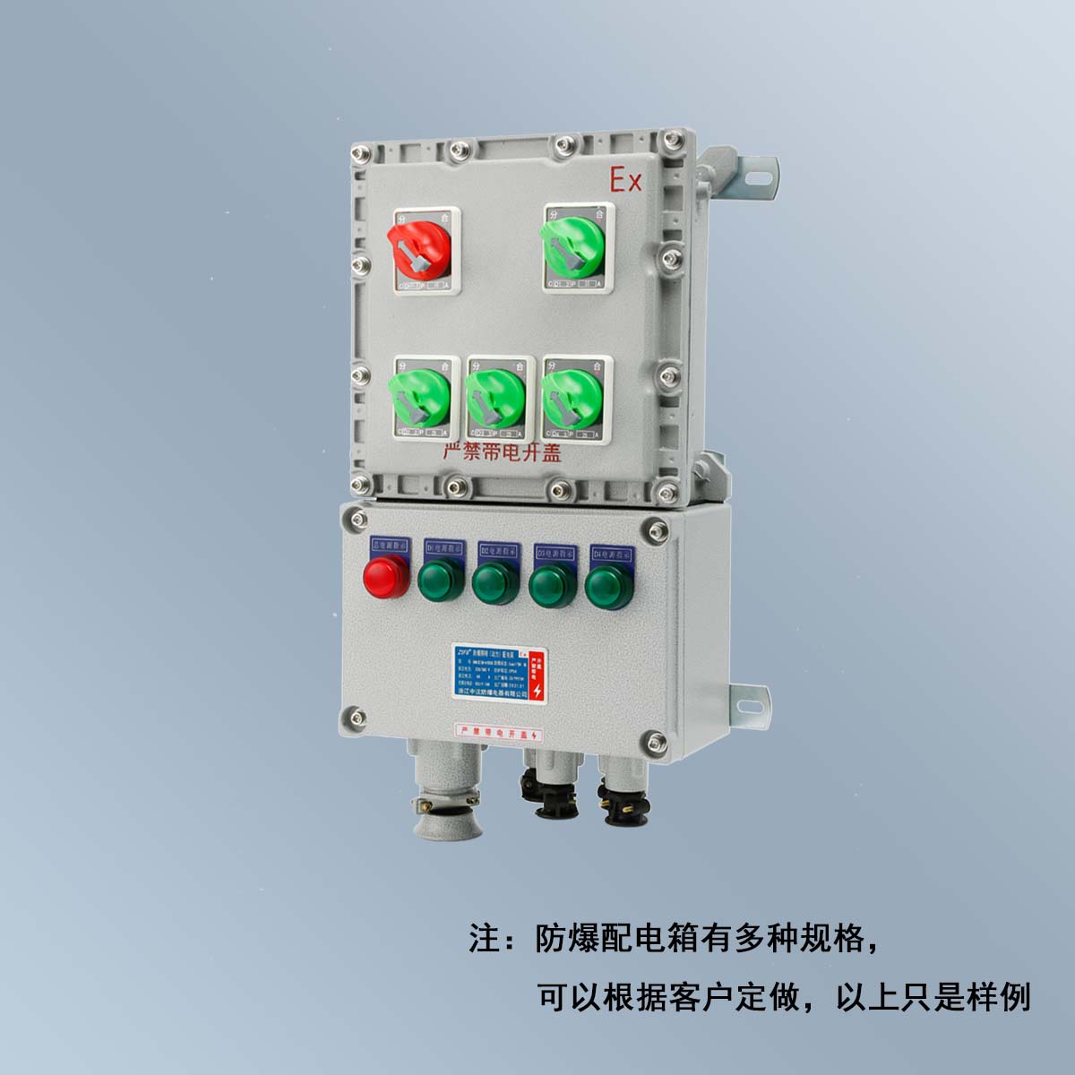 BXM(D)58 系列香蕉视频下载APP照明(动力)配电箱 (ⅡB、ⅡC、DIP)